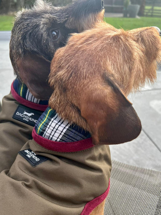 Hunter Dachshund Dog Coat