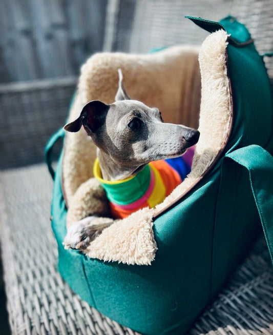 Evergreen Luxury Dog Carry Bag.